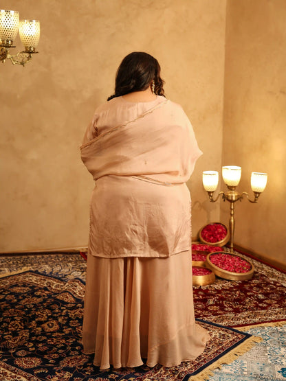 Trisha Light Brown Plus Size Skirt Set